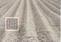 Preview: FL 1099 / 1102 MC ● - 1994